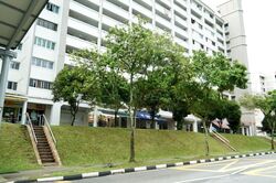 213 BUKIT BATOK STREET 21 (D23), Shop House #467686971